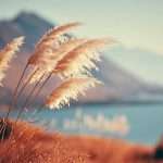 What does it mean to be prophetic?